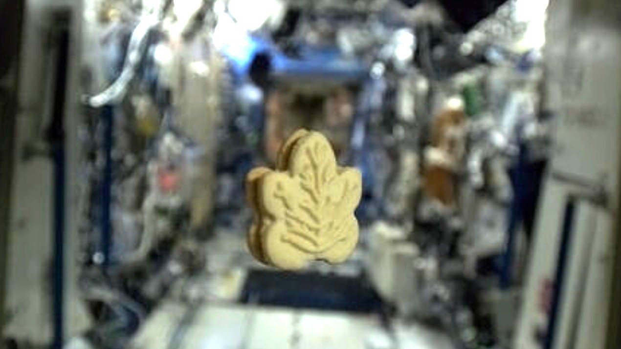 Artemis 2 moon astronauts will enjoy maple cream cookies and smoked salmon thanks to Canada