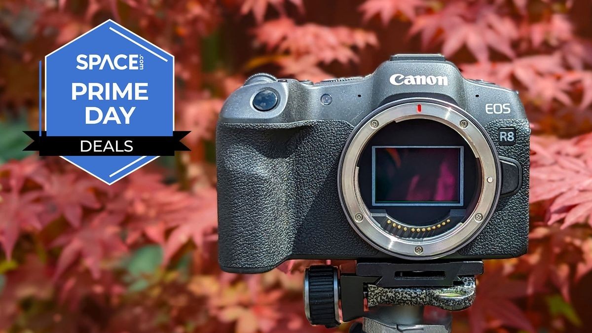 Are you a Canon fan? These anti-Prime deals save you hundreds off top models including R8, R5 II and R6 II