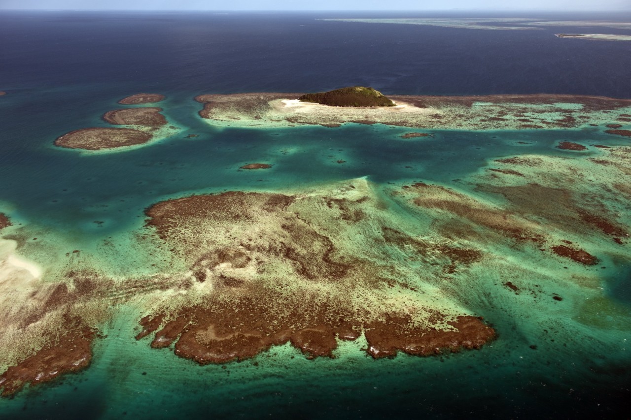 The 6th mass extinction hasn't begun yet, study claims, but Earth is barreling toward it