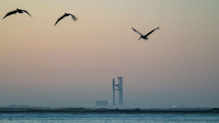 US Air Force cancels plans to build Starship landing pads on island bird sanctuary