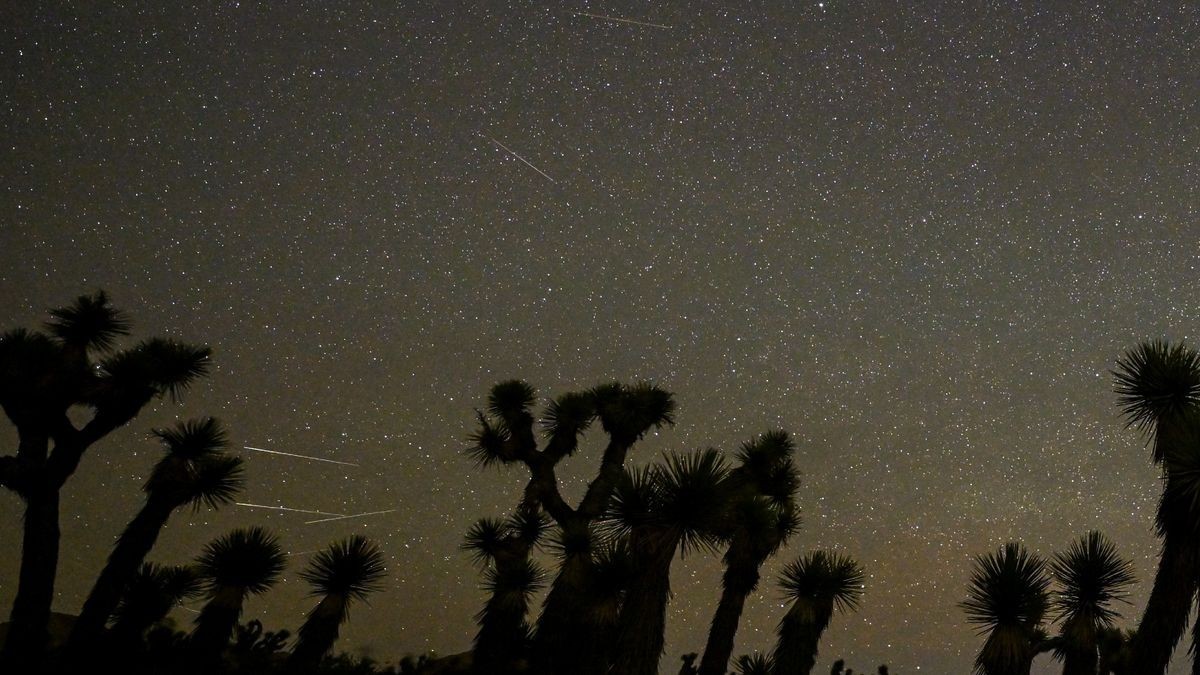 The Eta Aquarid meteor shower peaks May 6. Here's what to expect from the 'crumbs' of Halley's Comet