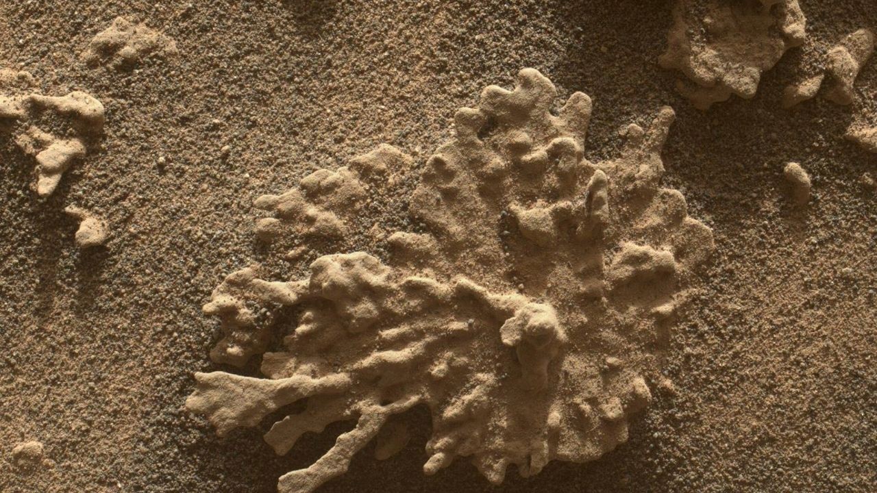 Curiosity rover celebrates 13 years on Mars with well-deserved naps and Red Planet 'coral'
