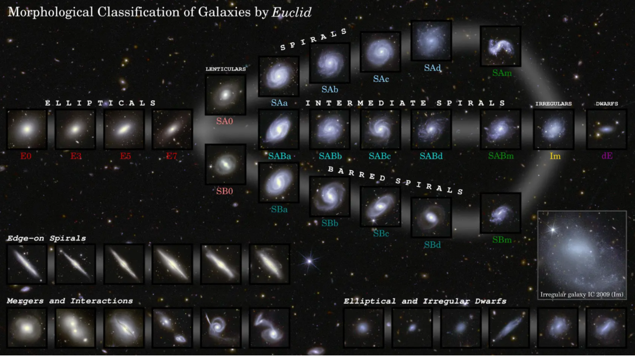 The Euclid space telescope observed 1.2 million galaxies in just 1 year. Here's what we've learned