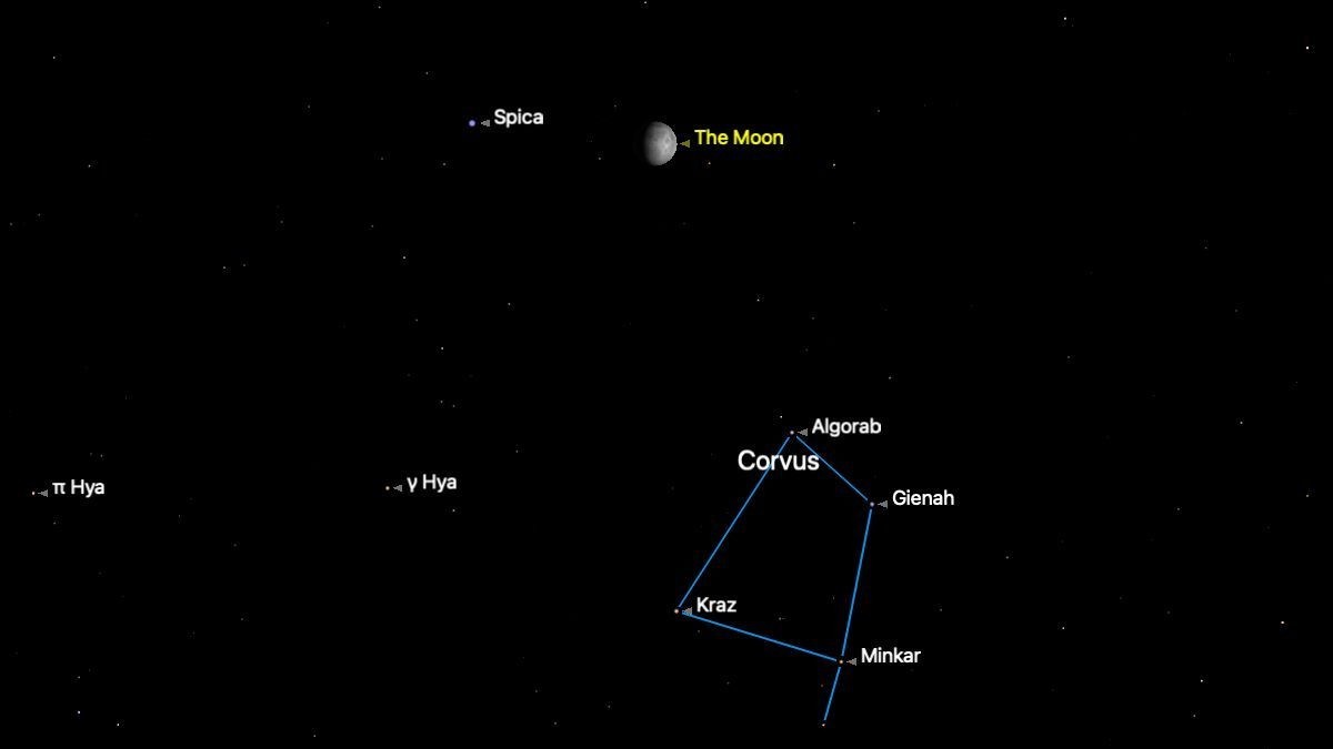 Don’t miss Spica shine with the waxing gibbous moon tonight