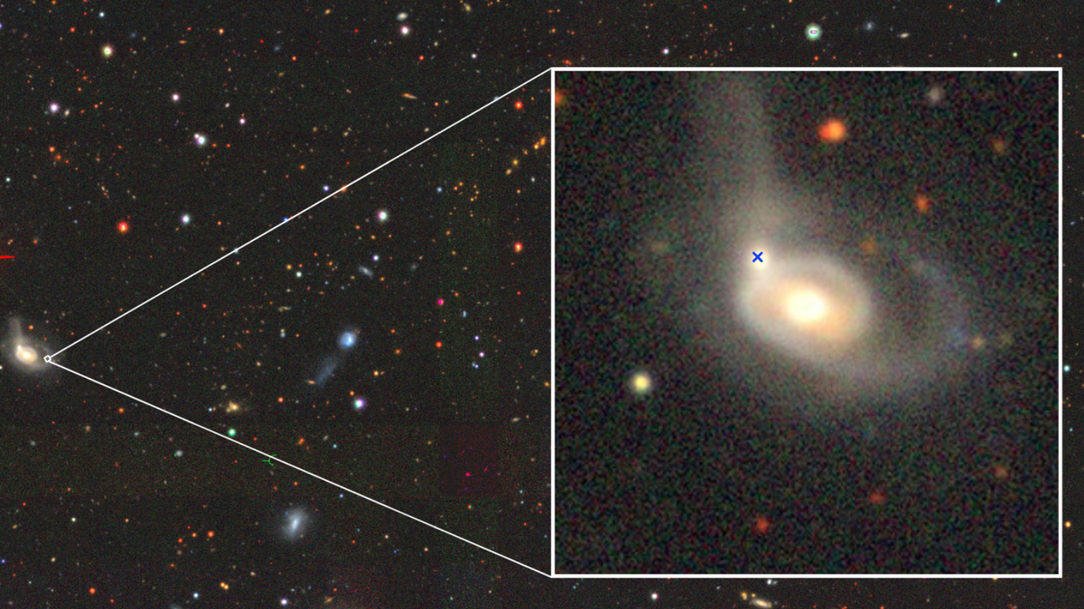Astronomers discover black hole ripping a star apart inside a galactic collision. 'It is a peculiar event'