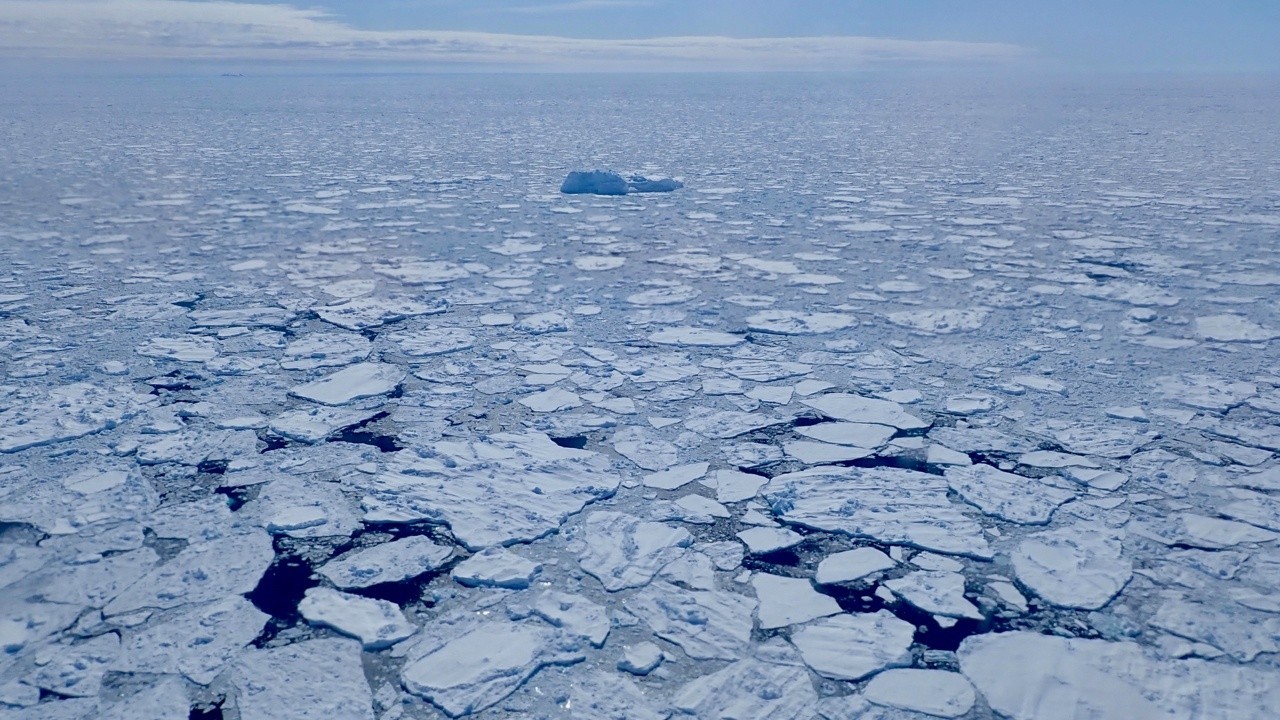 Antarctic sea ice hits 'record-smashing' low this year, satellite data shows