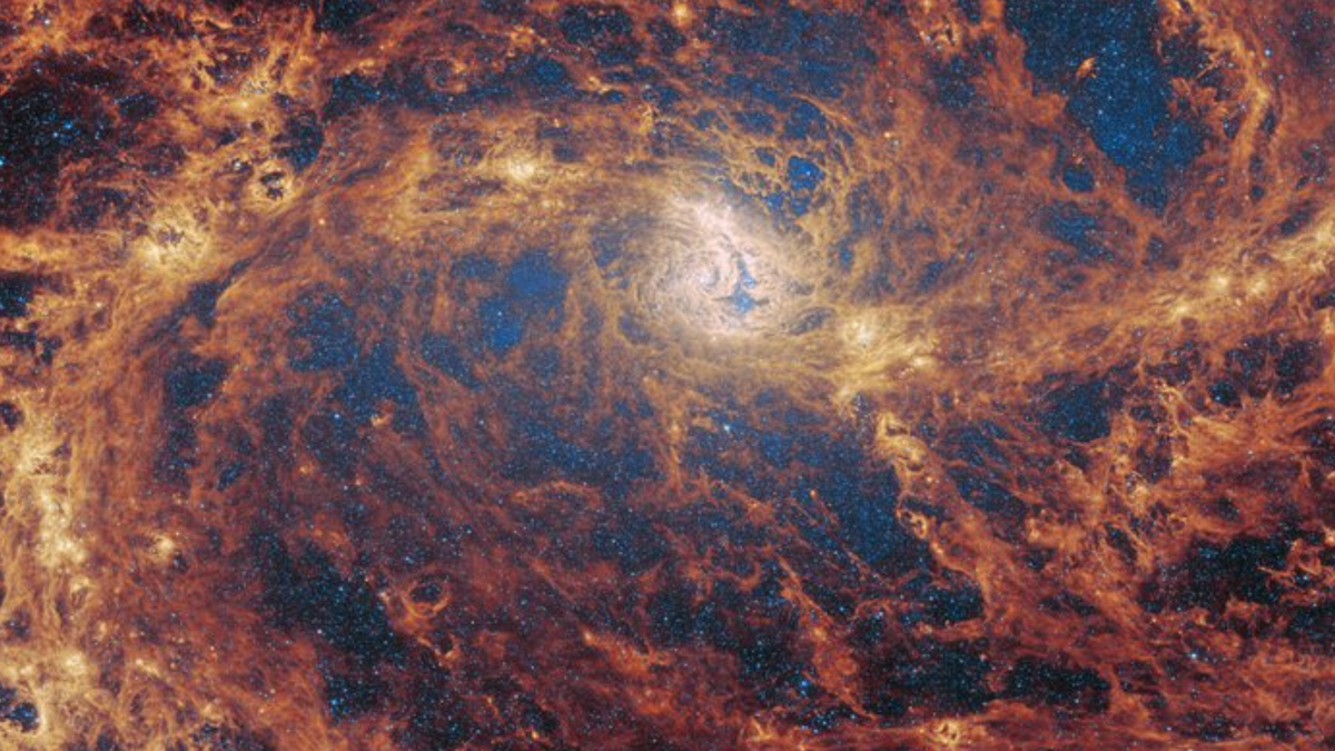 Has the James Webb Space Telescope discovered a 'missing' supermassive black hole? (video)