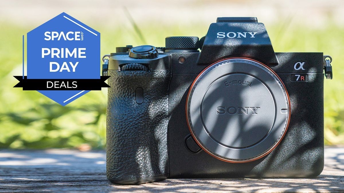 Want a last minute steal? Save $200 on this pro-level Sony A7R IV mirrorless camera as Walmart takes on Amazon