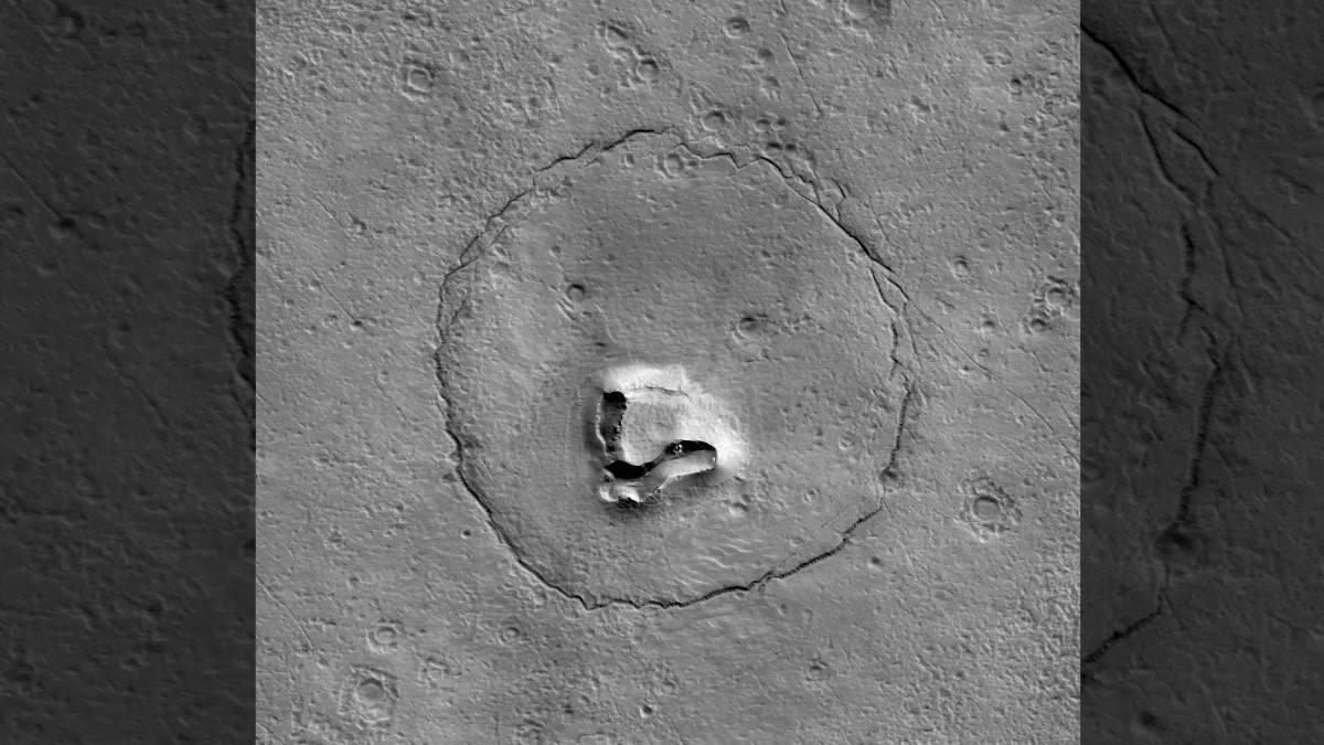 NASA spies Martian rocks that look just like a teddy bear