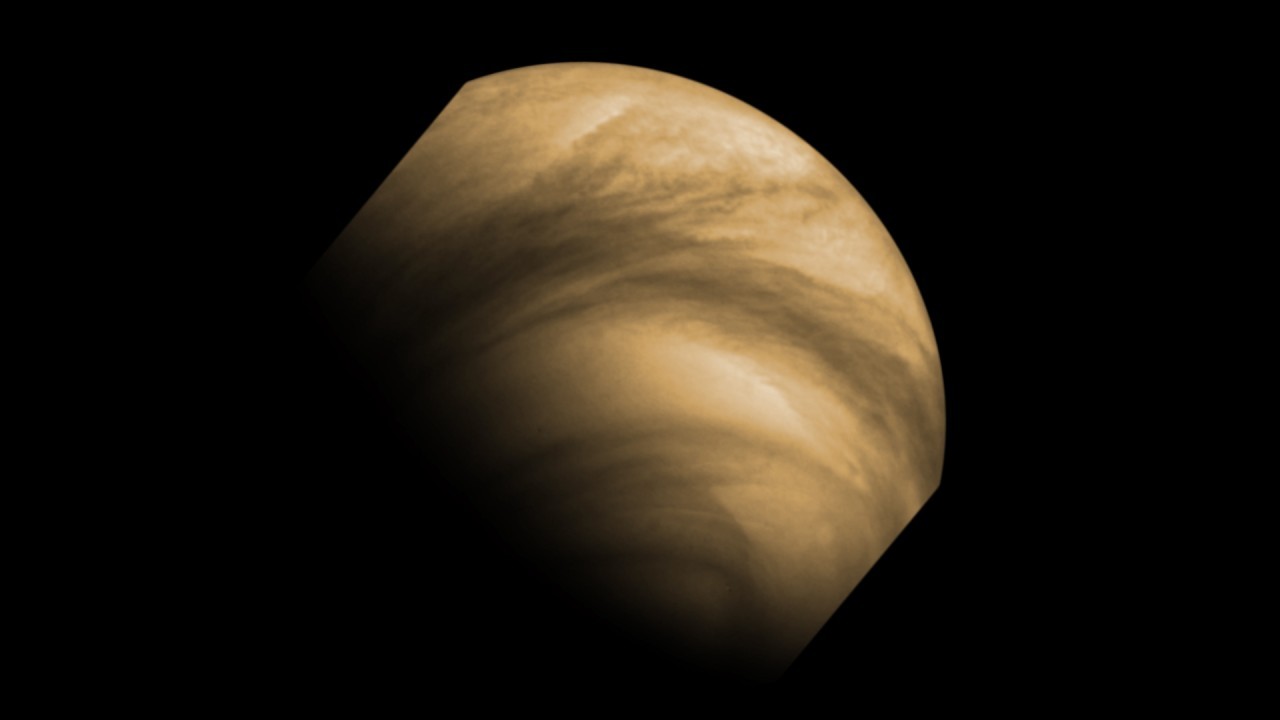 Missing microbial poop in Venus' clouds suggests the planet has no life