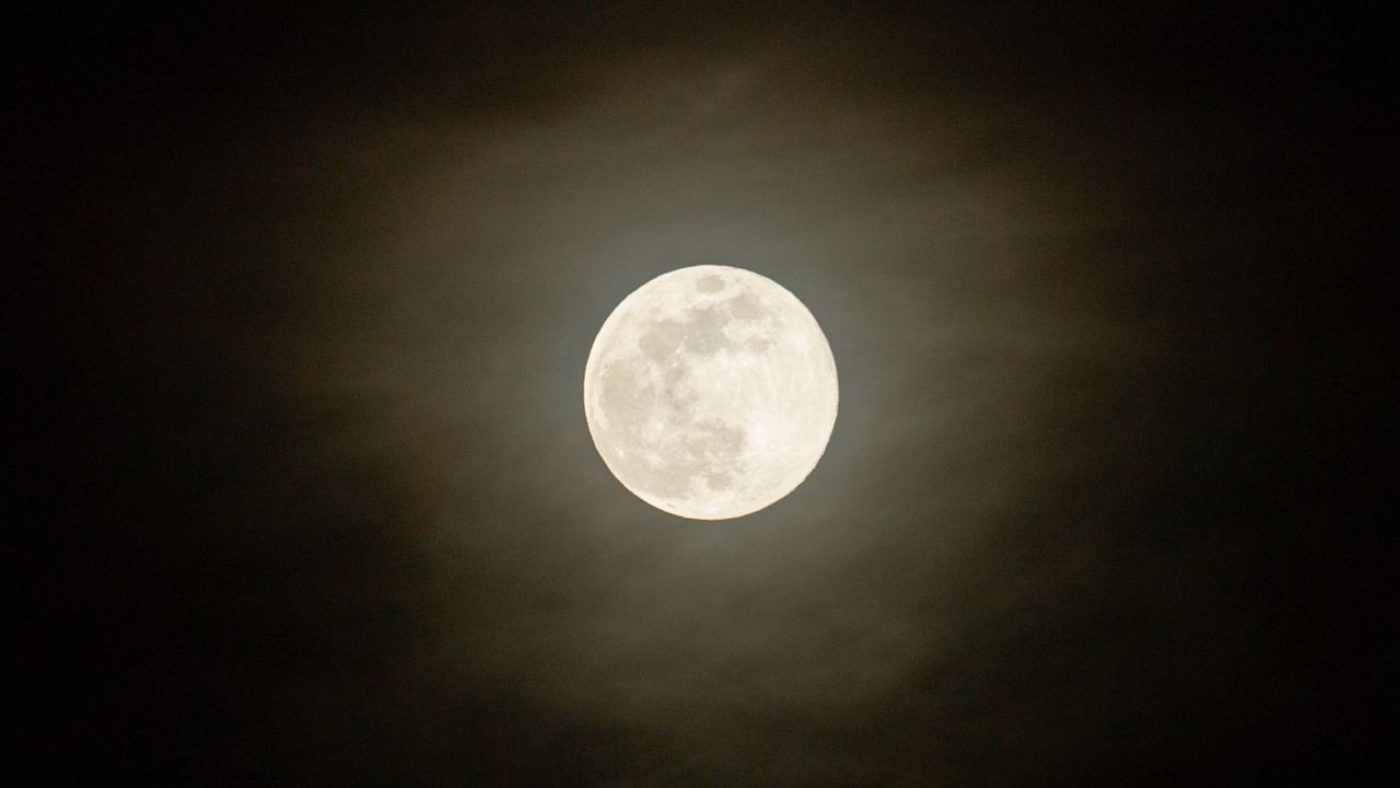 January full moon 2026: When, where and how to see the Wolf Moon