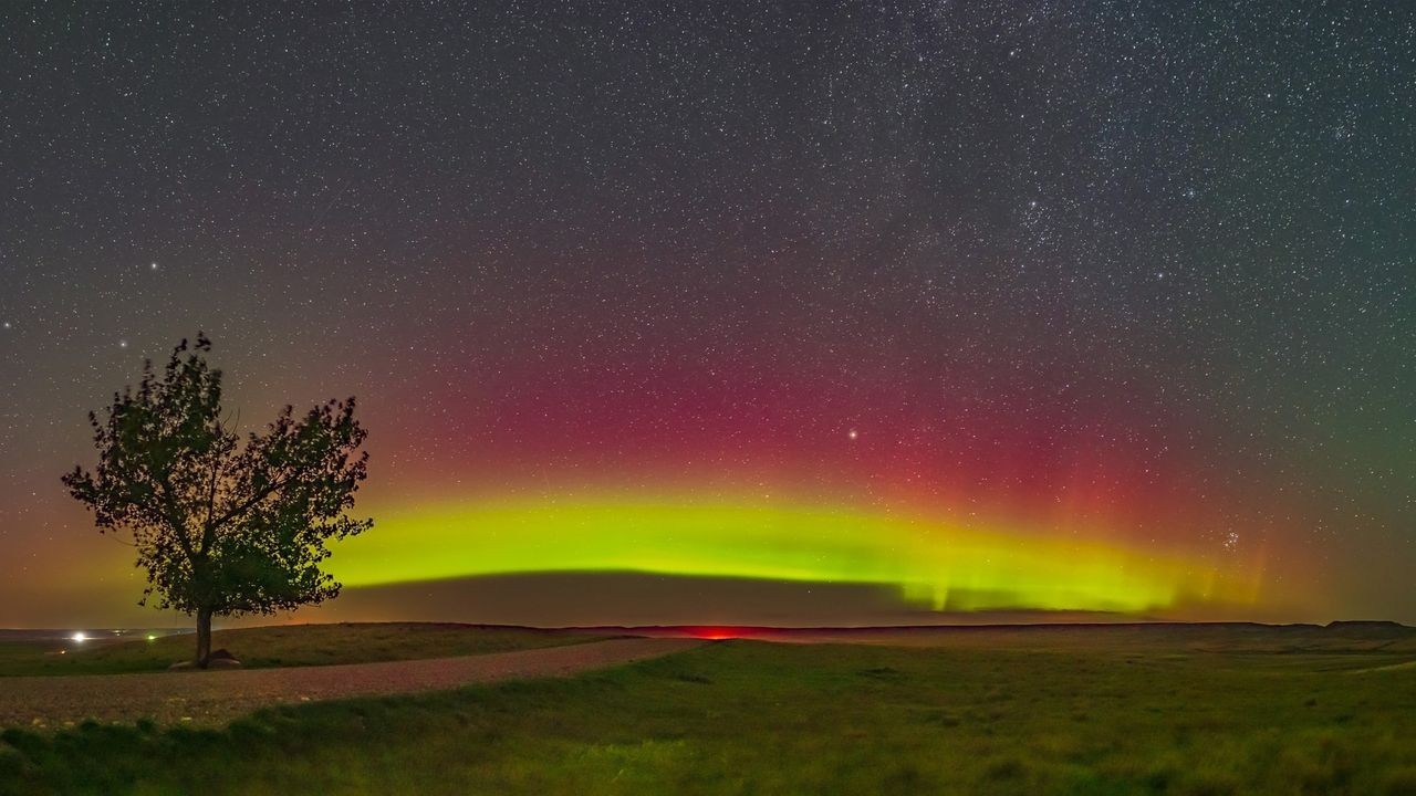 How the sun threatens your nuts: Inside the $100 million solar storm peanut problem