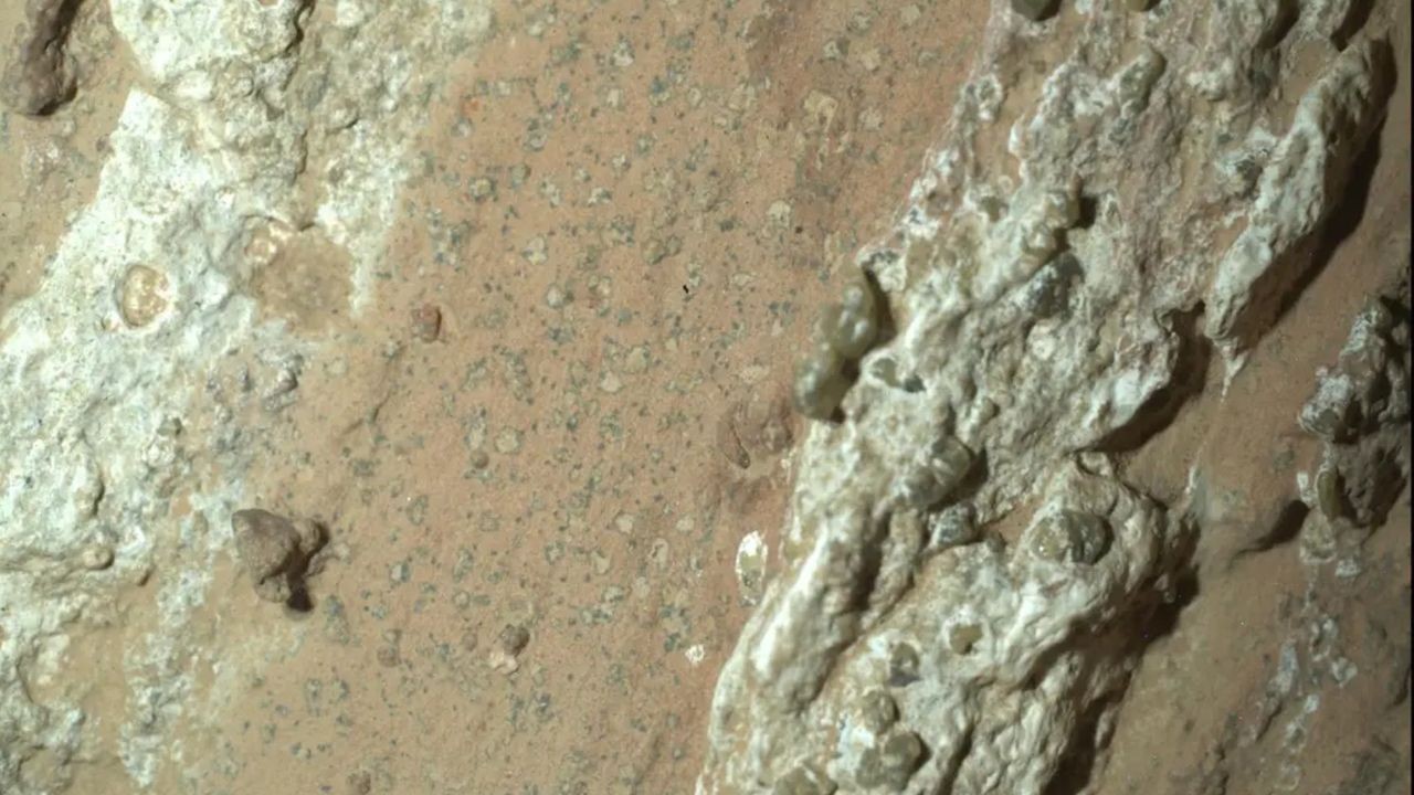 Did NASA's Perseverance rover actually find evidence of life on Mars? We need to haul its samples home to find out, scientists say