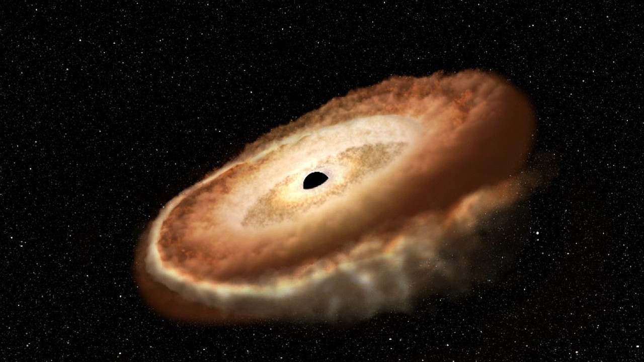 Hungry black hole is transforming star into a stellar taffy and a cosmic donut