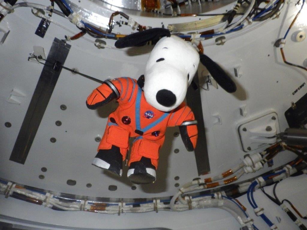 Spacesuited Snoopy doll floats in zero-g on moon-bound Artemis 1 mission