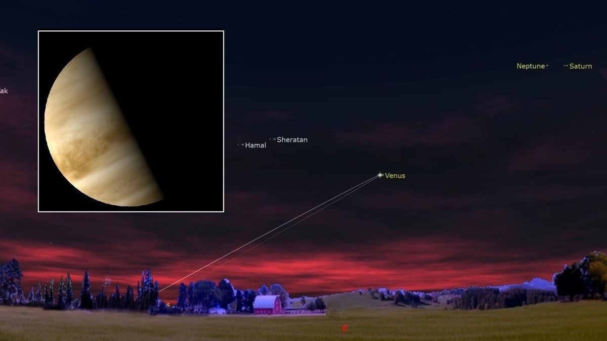 Venus is at its farthest from the sun on June 1: Here's how to see the bright 'morning star' this weekend