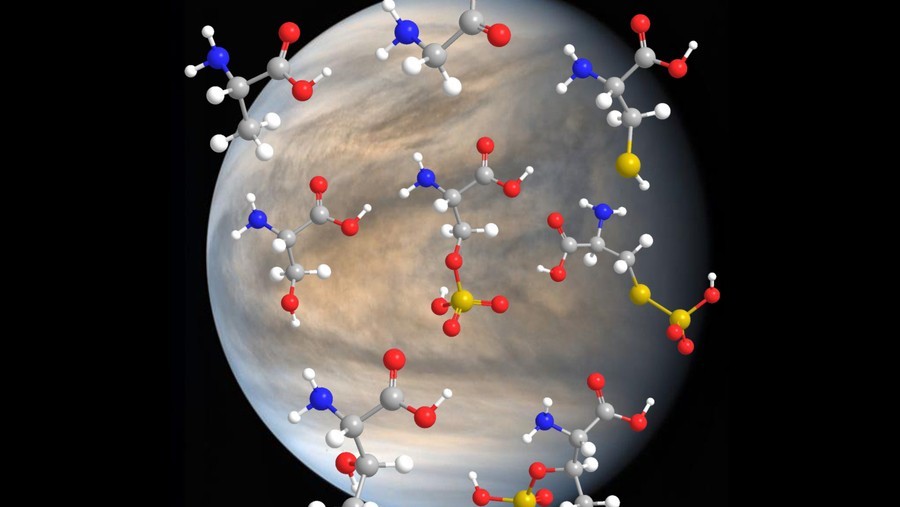 Life as we know it could exist on Venus, new experiment reveals