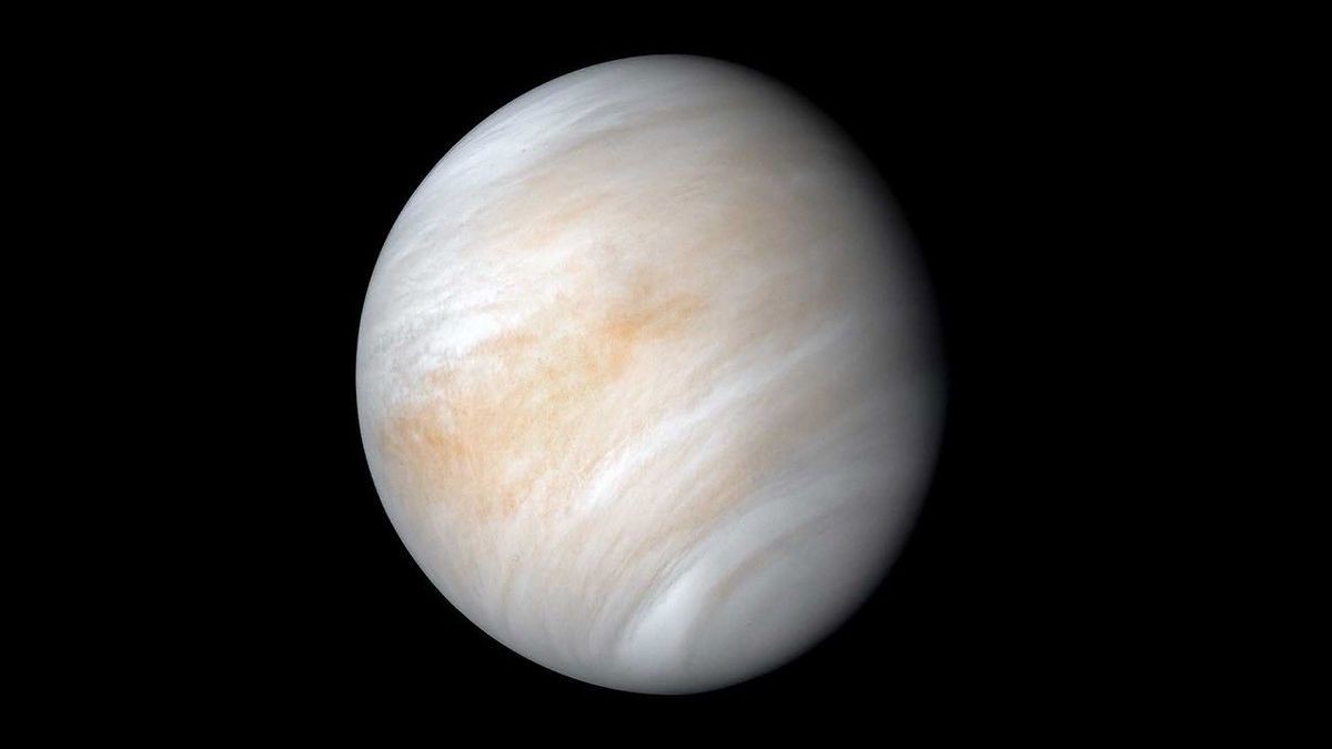 A hidden asteroid family may share Venus' orbit: 'It's like discovering a continent you didn't know existed'