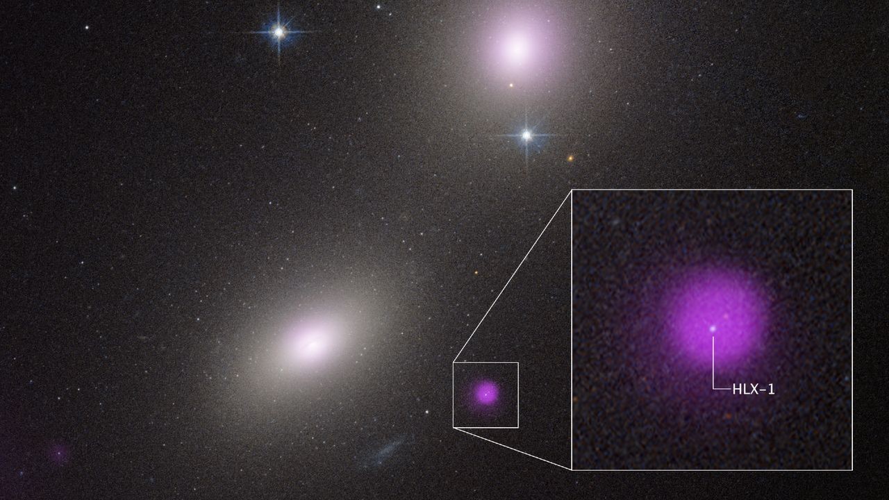 Rogue black hole found terrorizing unfortunate star in distant galaxy