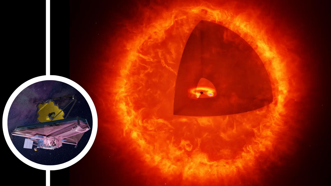 Are 'little red dots' seen by the James Webb Space Telescope actually elusive 'black hole stars'?