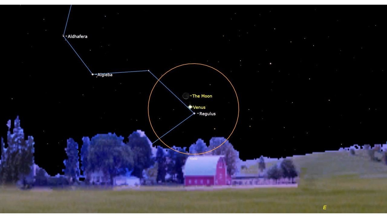 The moon and Venus visit the 'Heart of the Lion' this week. Here's how to see it