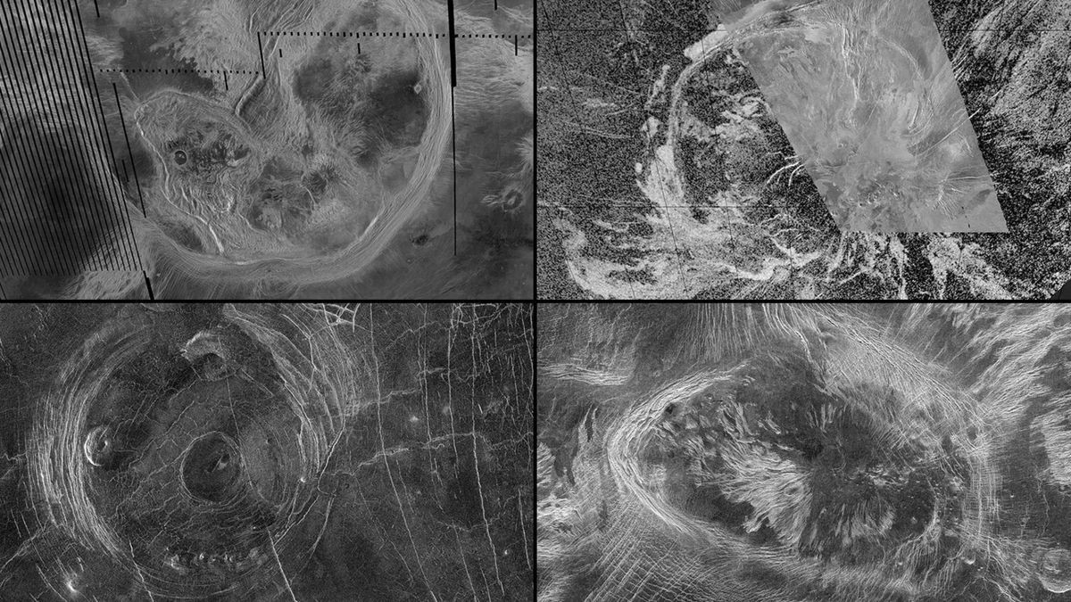 Curious circles on Venus suggest its surface is still changing