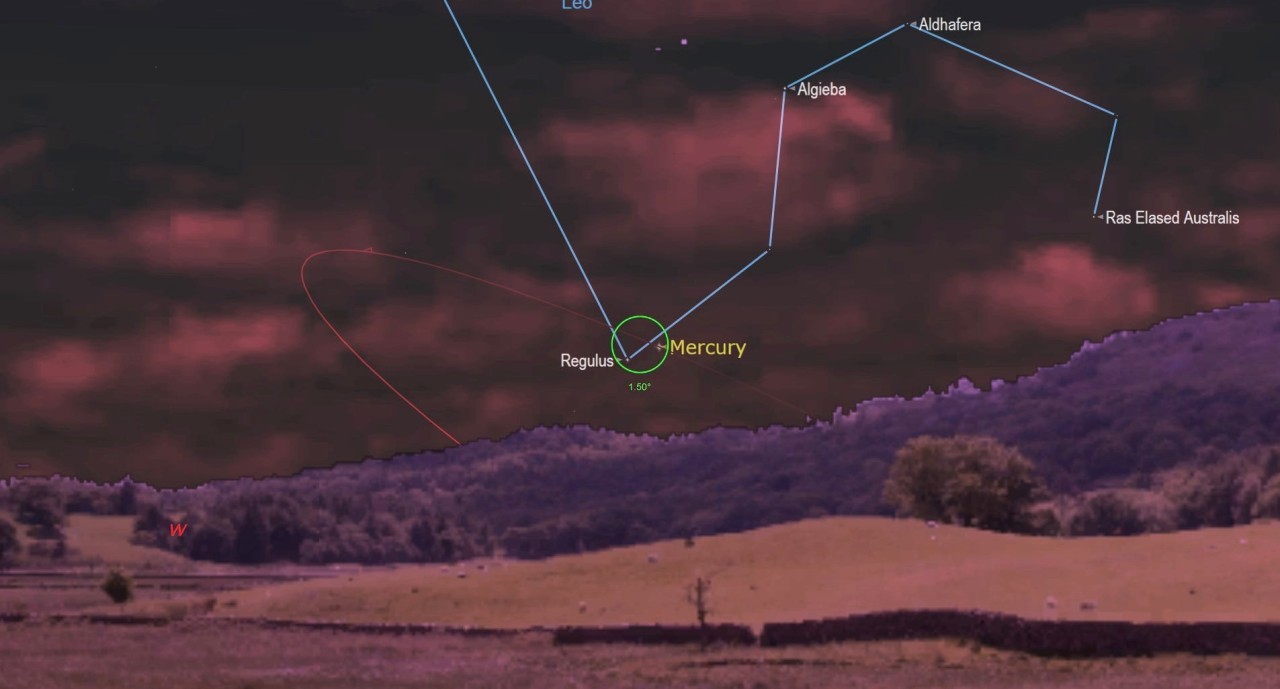 See Mercury shine close to Leo's brightest star Regulus tonight