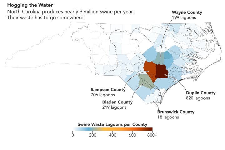 Harmful pig poop lagoons mapped from space (images)