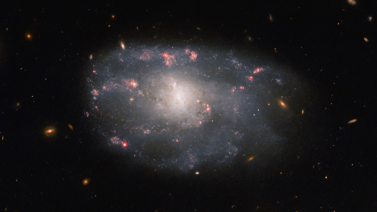 Hubble Space Telescope spies 'irregular' spiral galaxy in Ursa Major (photo)