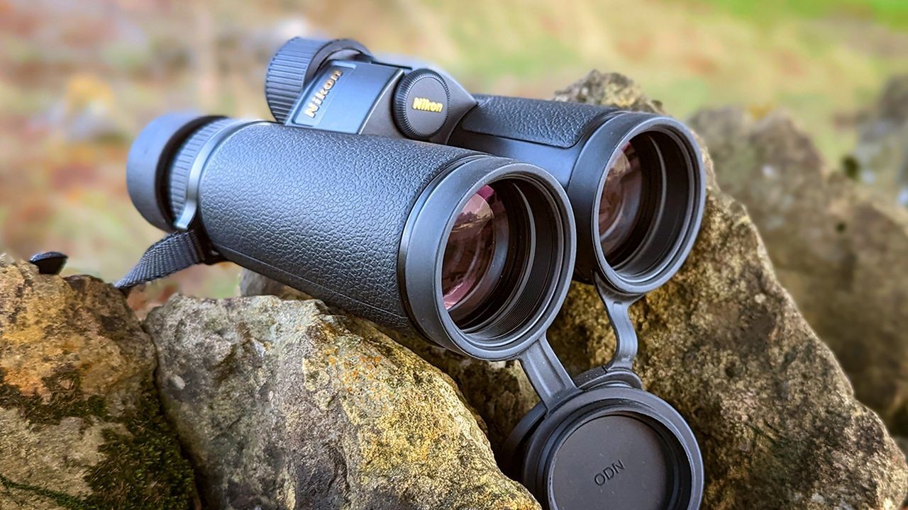 Best binoculars by price — Find the perfect pair for your budget