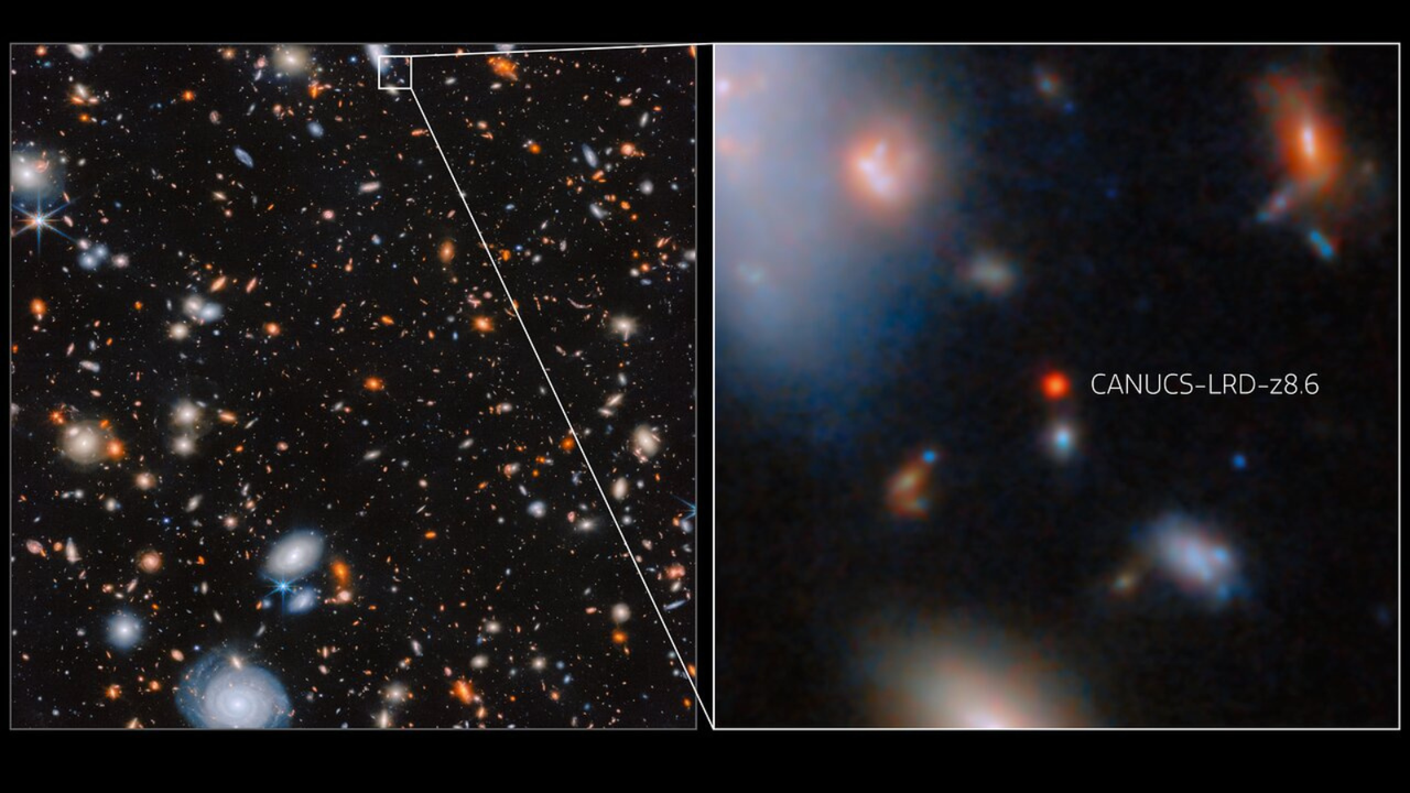 James Webb Space Telescope spots rapidly feeding supermassive black hole in the infant universe: 'This discovery is truly remarkable.'