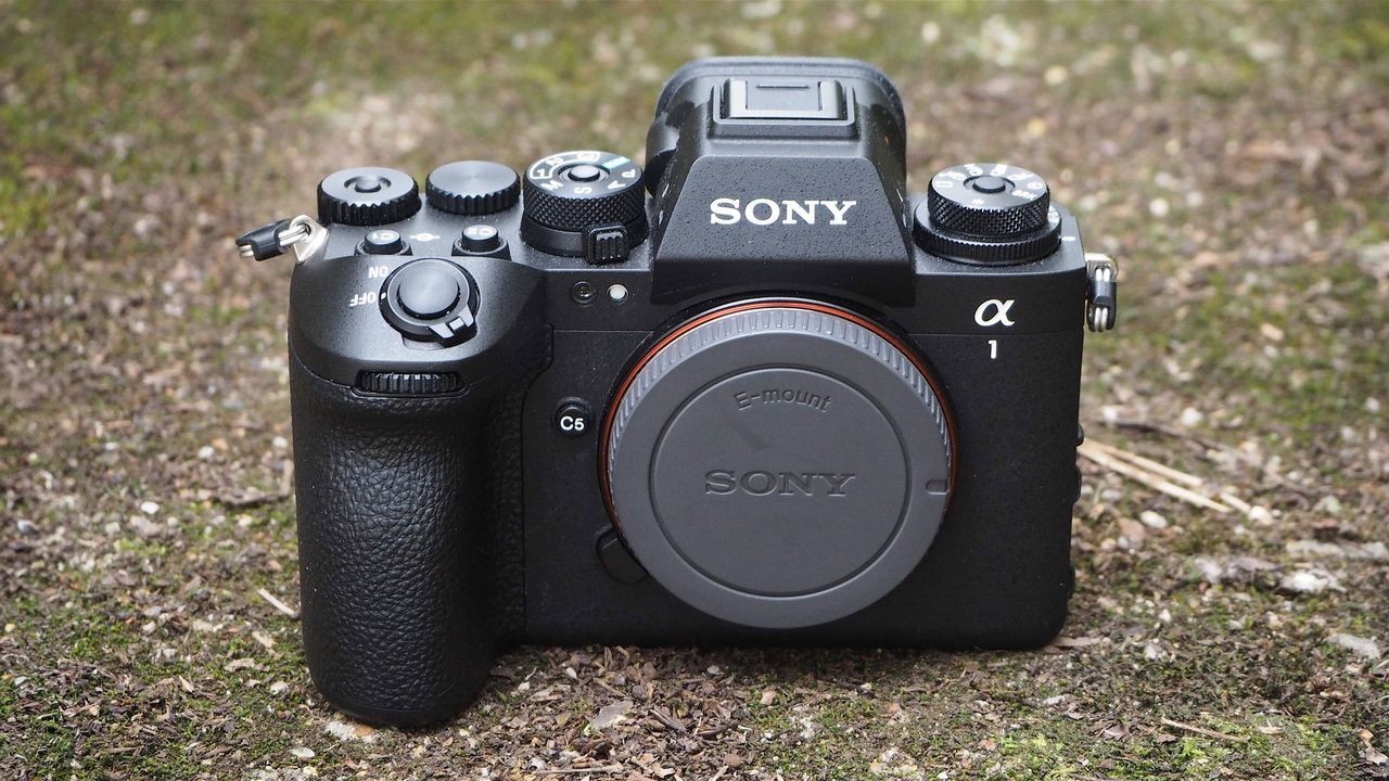Sony A1 II mirrorless camera review