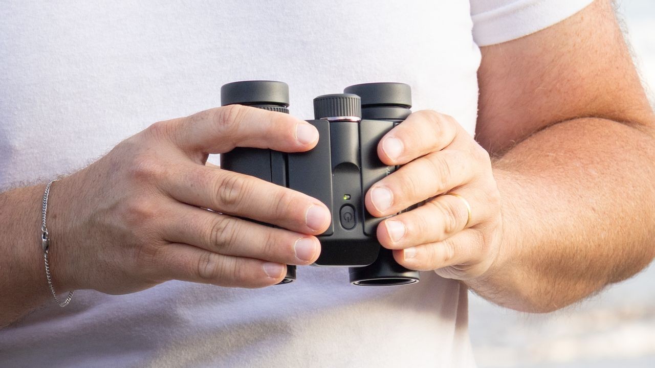 Nikon Stabilized 12x25 S binocular review